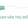 Soạn bài Thu điếu Ngữ văn lớp 8: Phân tích chi tiết