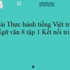 Soạn bài Thực hành Tiếng Việt trang 45 Ngữ văn 8 tập 1 (Kết nối tri thức)