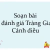 Soạn bài Tràng Giang lớp 11 đầy đủ, chi tiết và ý nghĩa