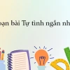 Soạn bài Tự tình 2 Văn 10 Cánh Diều: Phân tích chi tiết và dàn ý chuẩn