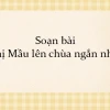 Soạn văn 10 cánh diều bài Thị Mầu lên chùa chi tiết và đầy đủ