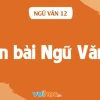 Soạn văn 12 bài 1: Khám phá khả năng lớn lao của tiểu thuyết
