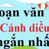 Soạn văn 12 cánh diều ngắn nhất đầy đủ và chi tiết