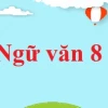Soạn văn 8 Kết nối tri thức ngắn nhất và đầy đủ nhất