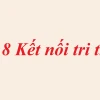 Soạn văn 8 kết nối tri thức tập 2: Hướng dẫn chi tiết và bài tập