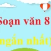 Soạn văn 8: Trường từ vựng - Khám phá sâu sắc ý nghĩa và cách vận dụng