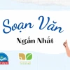 Soạn văn 9 ngắn gọn và đầy đủ các bài tập làm văn