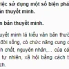 Soạn văn 9: Sử dụng biện pháp nghệ thuật trong văn bản thuyết minh