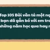 Tả người bạn thân của em: Những nét vẽ chân thực và cảm xúc