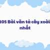Tập làm văn lớp 4: Bài văn tả cây xoài nhà em thật hay