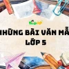 Tổng hợp các bài văn mẫu lớp 5 hay, bám sát chương trình năm 2026