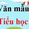 Tổng hợp các cách kết bài phân tích thơ hay nhất cho học sinh lớp 10