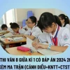 Tổng hợp những bài văn mẫu lớp 8 học kì 1 đầy đủ và chi tiết