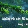 Văn mẫu tả cơn mưa lớp 5: Những bài văn hay và sáng tạo