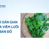 Viêm Lưỡi Bản Đồ Ở Người Lớn: Nguyên Nhân, Triệu Chứng và Cách Chữa Trị Hiệu Quả