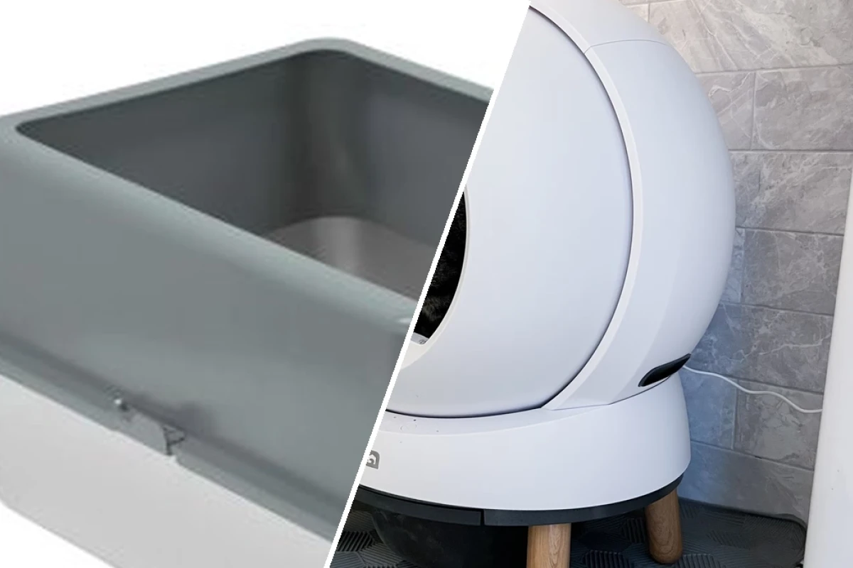 Best eco-friendly cat litter box alternatives for sustainable care