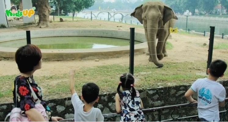 Bài văn mẫu kể về lần đi sở thú