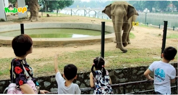 Bài văn mẫu lớp 2 kể về một lần đi sở thú, giúp học sinh tái hiện trải nghiệm