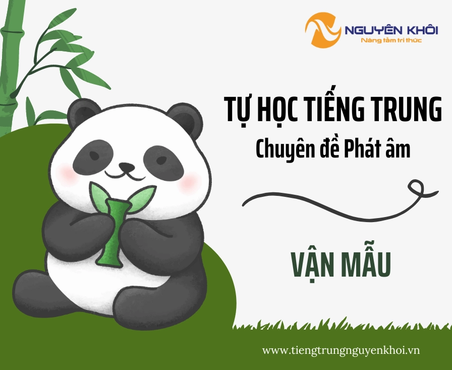 Bảng Ghép Thanh Mẫu và Vận Mẫu Tiếng Trung: Hướng Dẫn Chi Tiết Cho Người Mới Bắt Đầu