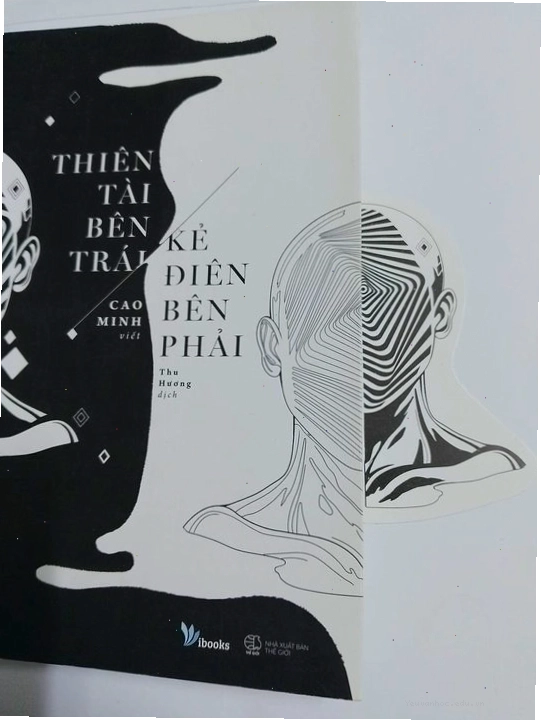 Bìa sách Thiên Tài Bên Trái, Kẻ Điên Bên Phải
