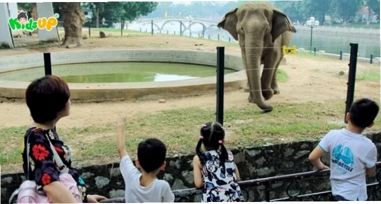 Các bạn nhỏ thích thú quan sát động vật tại sở thú