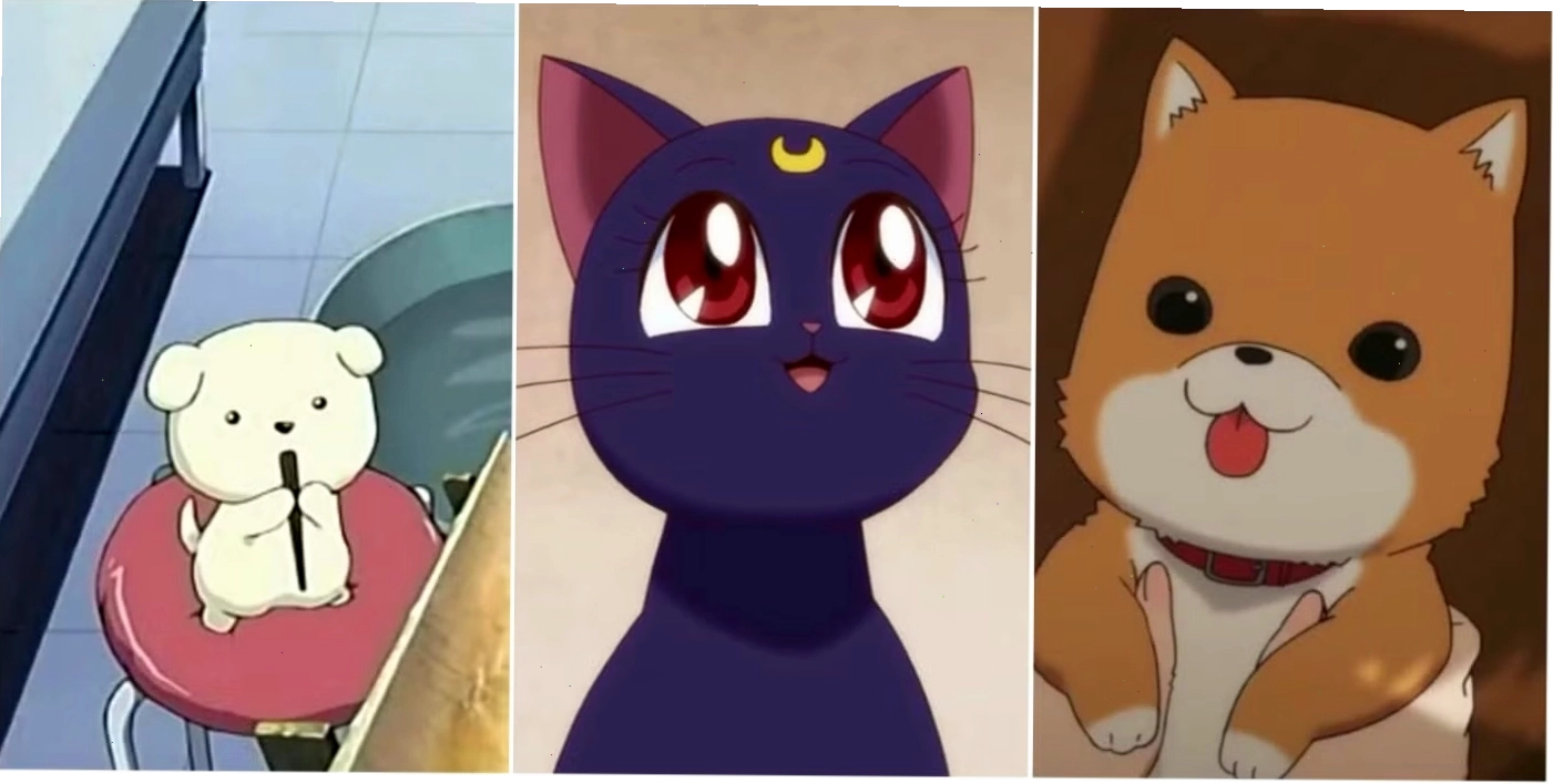 Các loài động vật dễ thương trong thế giới anime