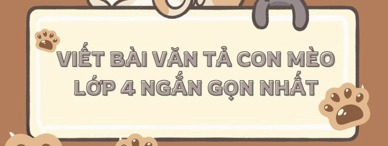 Các mẫu kết bài tả con mèo hay và sáng tạo cho học sinh