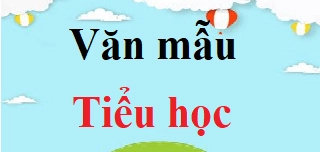 Cách viết mở bài nghị luận xã hội thu hút và hiệu quả