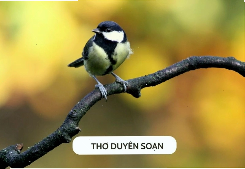 Cảm nhận vẻ đẹp tinh tế của bài thơ Duyên
