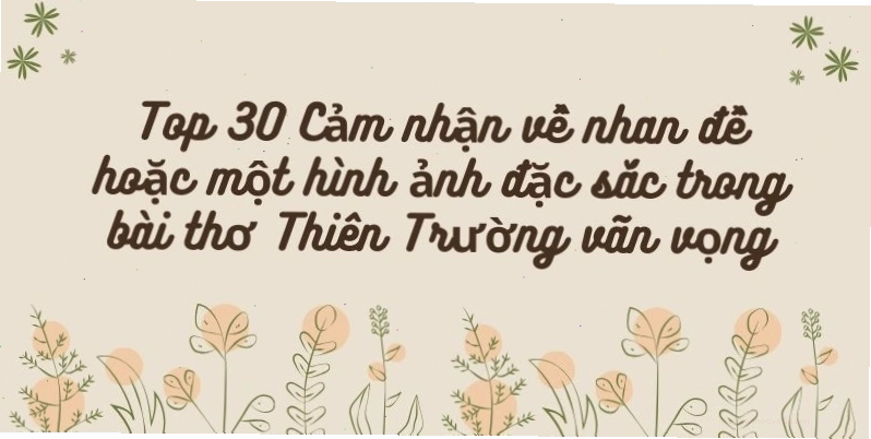 Cảm nhận về nhân đề hoặc một hình ảnh trong bài thơ Thiên Trường vãn vọng