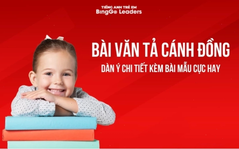 Cận cảnh bông hoa phượng đỏ rực