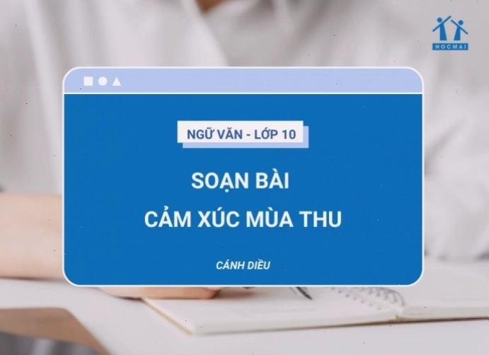 Cận cảnh những chiếc lá mùa thu rơi trên mặt đất