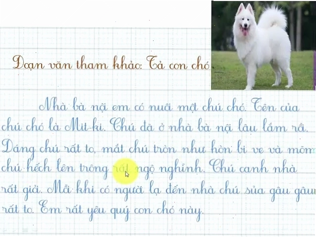 Cảnh chú chó đang đợi chủ về