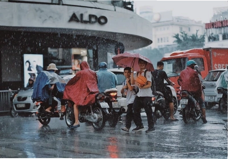 Cảnh cơn mưa đang trút xuống cánh đồng