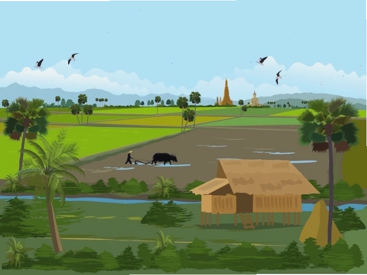 Cánh đồng lúa chín vàng óng ả dưới ánh nắng