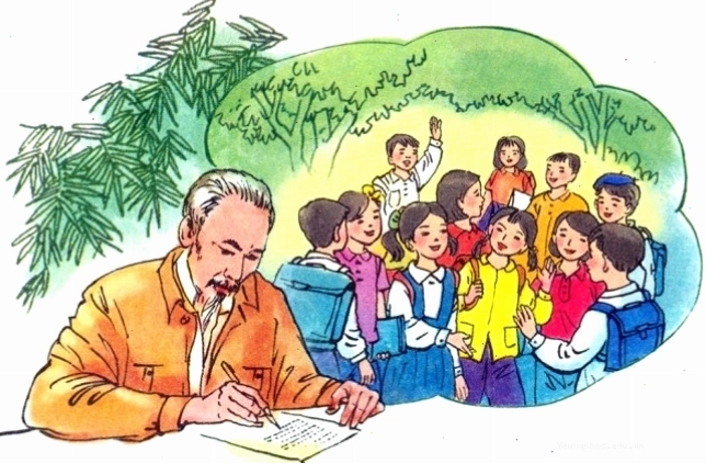 Cánh đồng lúa chín vàng rực rỡ dưới ánh nắng chiều