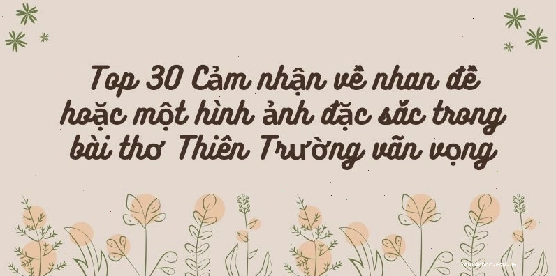 Cảnh Pác Bó hùng vĩ, nơi Chủ tịch Hồ Chí Minh đã gắn bó