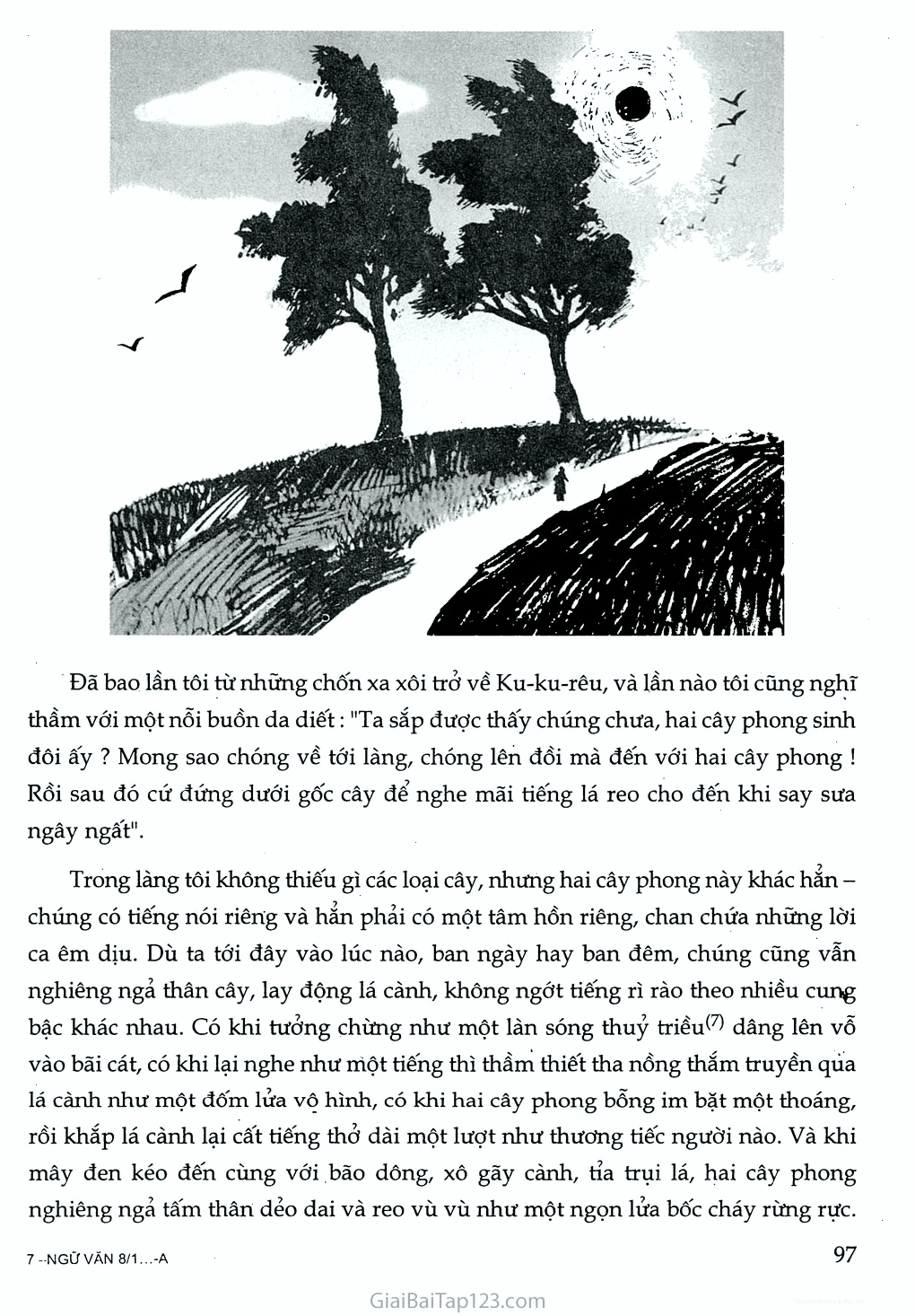 Cảnh vật xung quanh hai cây phong