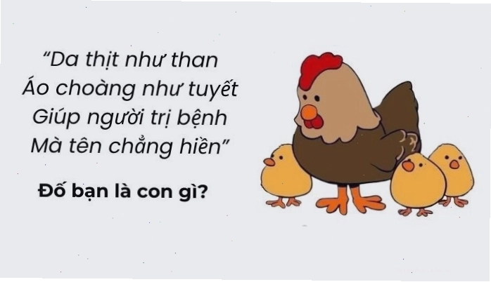 Câu đố mẹo hack não đòi hỏi sự tập trung cao độ