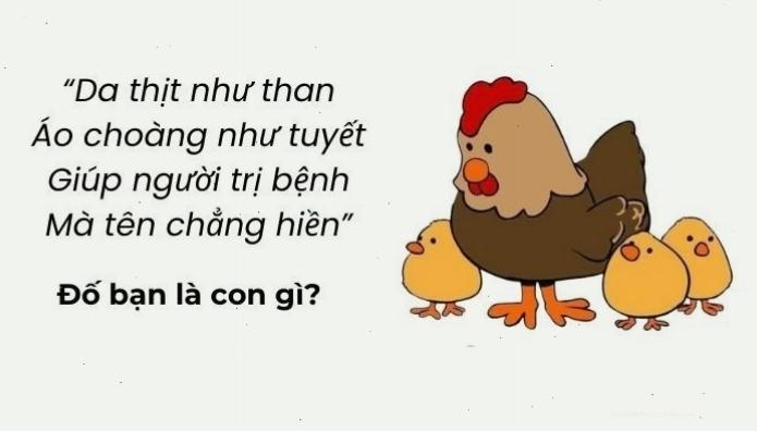 Câu đố mẹo hack não giúp rèn luyện trí tuệ