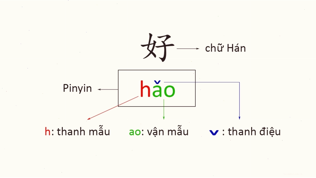 Cấu tạo âm tiết chuẩn trong tiếng Trung Phổ thông bao gồm Thanh mẫu, Vận mẫu và Thanh điệu