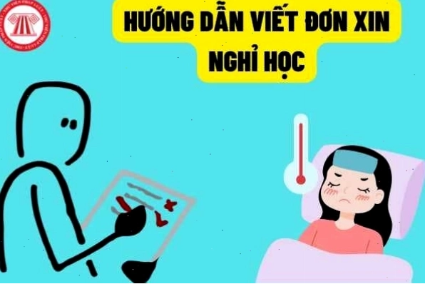 Cấu trúc mẫu đơn xin nghỉ học thêm