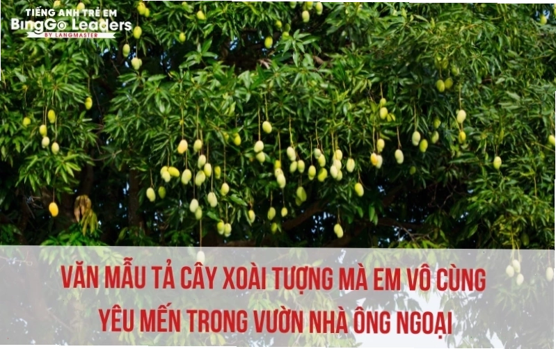 Cây xoài là nơi gắn bó với tuổi thơ em