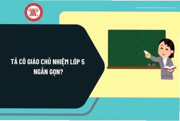 Cô giáo chủ nhiệm lớp 5 hiền hậu và ân cần
