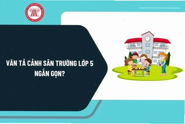 Cô mèo Miu đáng yêu