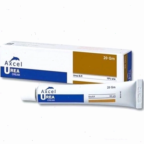 Công dụng của thuốc Axcel trong điều trị các bệnh da liễu