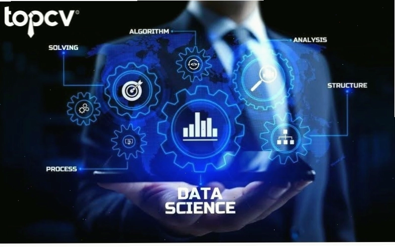 Data Scientist xây dựng mô hình dự đoán và tối ưu hóa quy trình xử lý dữ liệu