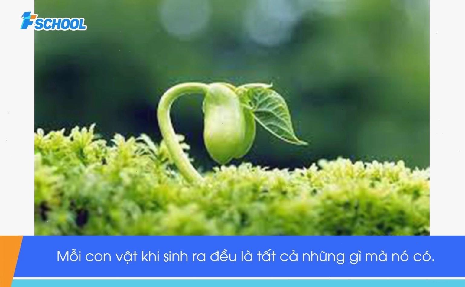 Đoạn văn nghị luận xã hộivề giá trị bản thân