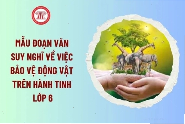 Đoạn văn về bảo vệ động vật hoang dã