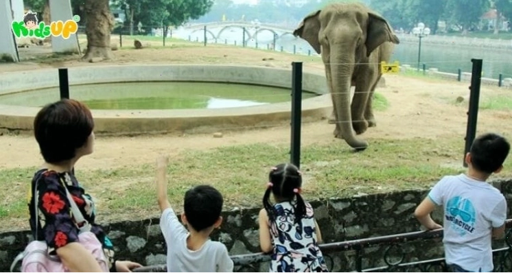 Em bé thích thú quan sát những con vật tại sở thú